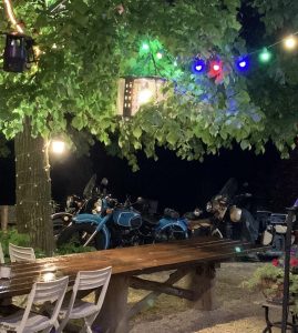 side cars sous les arbres