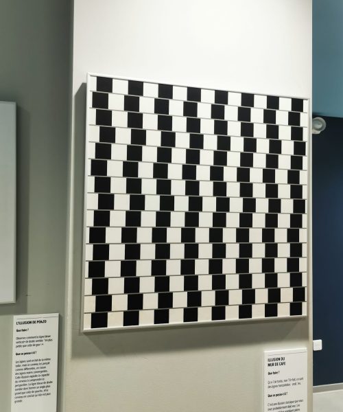 Tableau au musée de l'illusion à Marseille avec l'association Saphir13