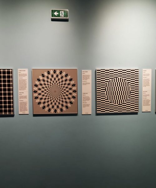 Tableaux déroutants au musée de l'illusion à Marseille avec l'association Saphir13