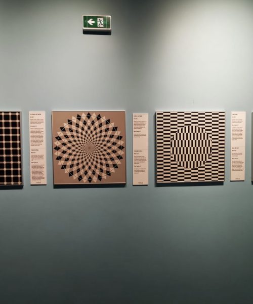 Tableaux déroutants au musée de l'illusion à Marseille avec l'association Saphir13