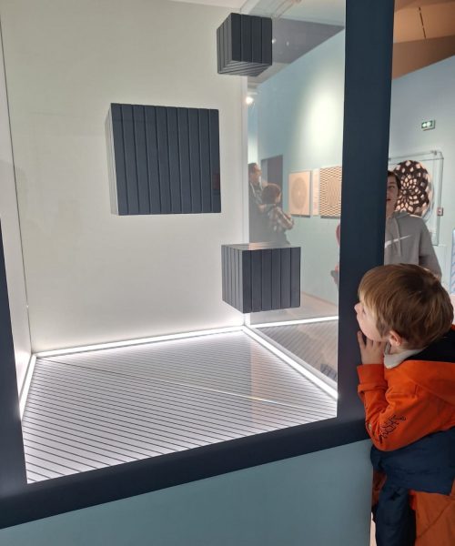 Sortie au musée de l'illusion à Marseille avec l'association Saphir13
