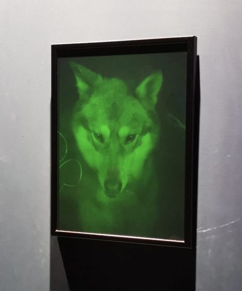Tableau relief d’un loup au musée de l'illusion à Marseille avec des adhérents de l'association Saphir13