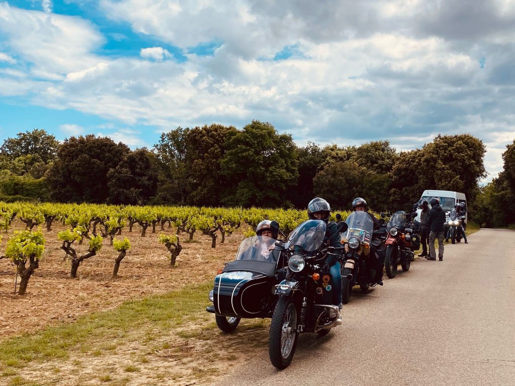 A l'arrêt dans les vignes