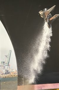 IMG_4840