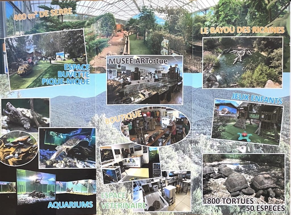 Flyer 2