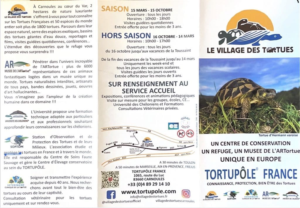 Flyer 1