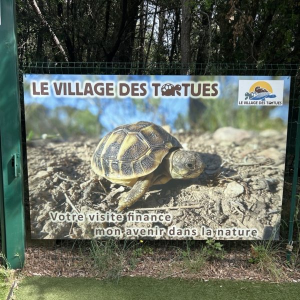 Affiche le village des tortues