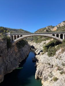 IMG_5929