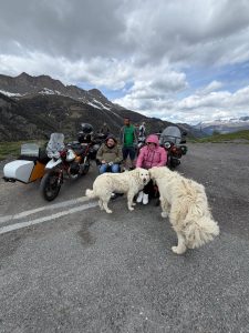Rencontre insolite dans le Queyras