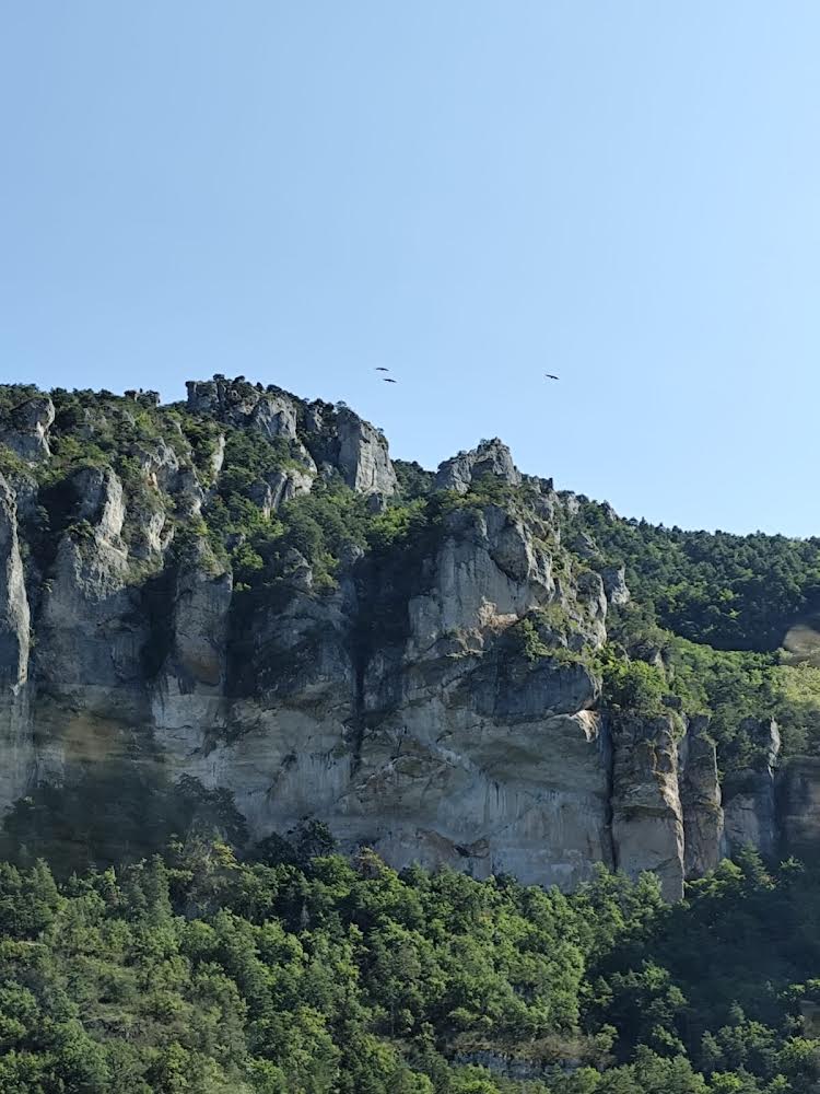 Gorges du Tarn