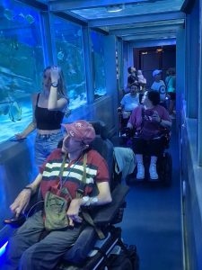 Sortie au seaquarium institut marin