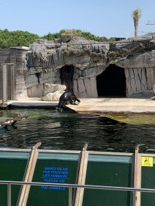 IMG_4265