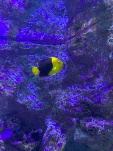 IMG_4267