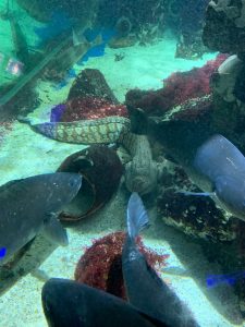 IMG_4268