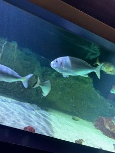 IMG_4269